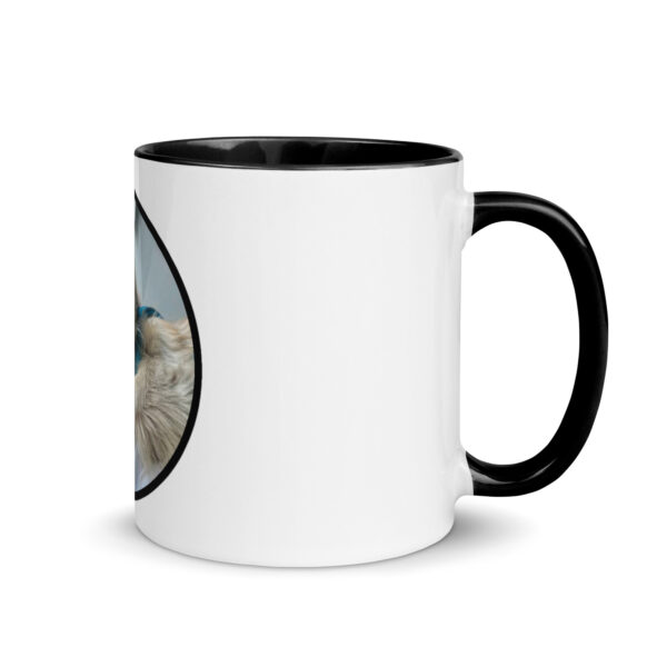 Mug with Color Inside