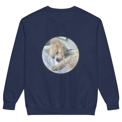 unisex-garment-dyed-sweatshirt-true-navy-back-67e0c5c1ee86f.jpg