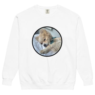 unisex-garment-dyed-sweatshirt-white-front-67e0c5c2107d6.jpg